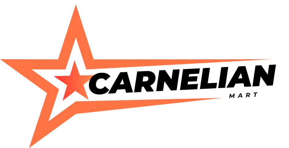 Orange Black White Illustration Star Modern Agency Logo (500 x 257 px)